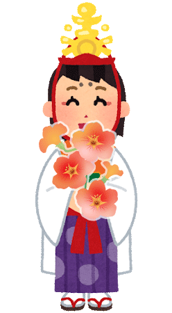 ハイビスカス