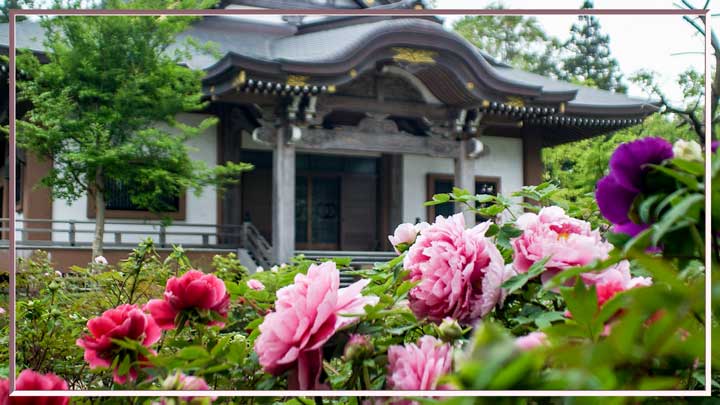 ボタンのお寺