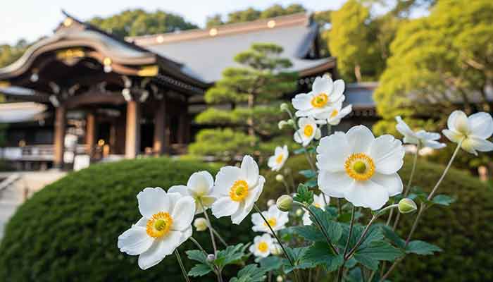 寺社