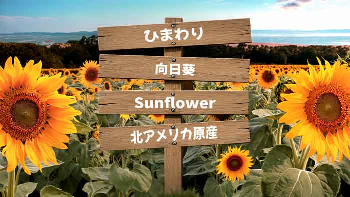 サインボード